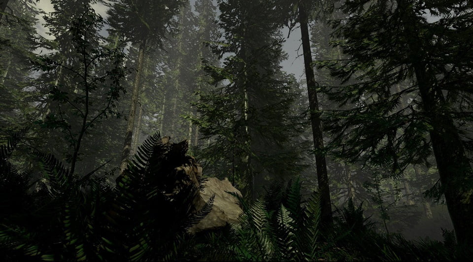 The Forest Telecharger PC